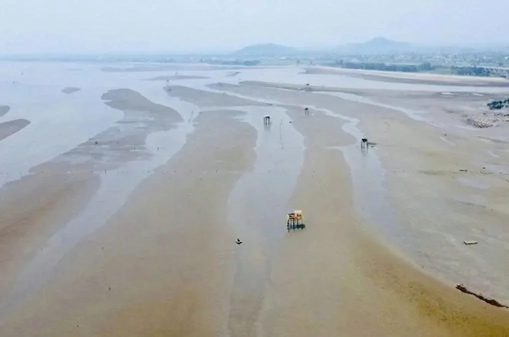 Bãi bồi tại xã Quỳnh Phú