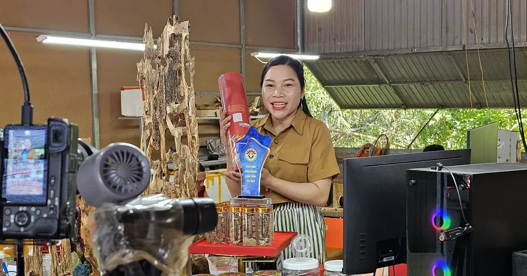 Doanh nghiệp tại Quảng Trị thay đổi cách tiếp cận thị trường nhờ nền tảng số — Công ty CP Xưởng mộc Việt