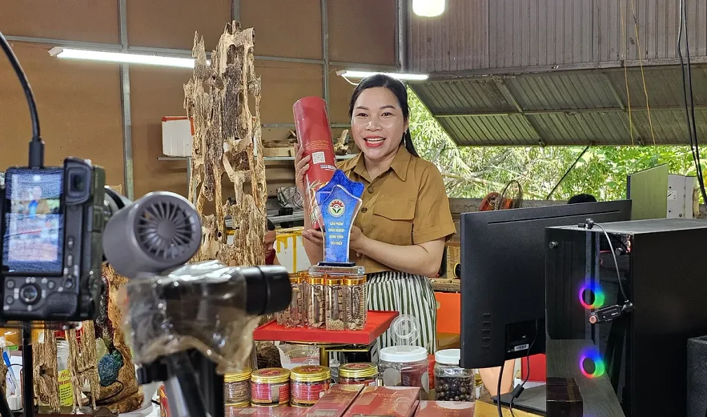 dnsme quảng tri