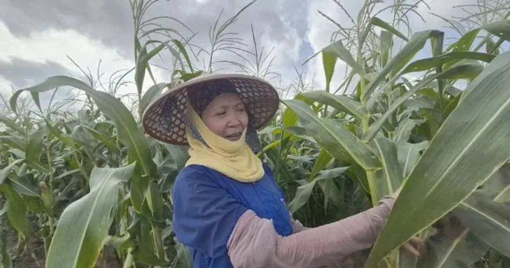 Từ thứ chỉ bán với giá 6.000 đồng/kg, nông dân Thanh Hóa áp dụng công thức "lạ" cho sinh lời quanh năm