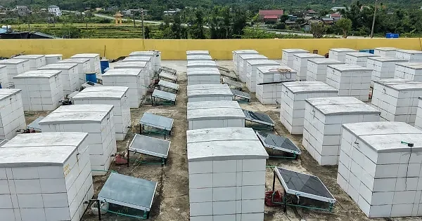 Hà Tĩnh: Đầu tư pin năng lượng mặt trời nâng tầm chất lượng nước mắm truyền thống