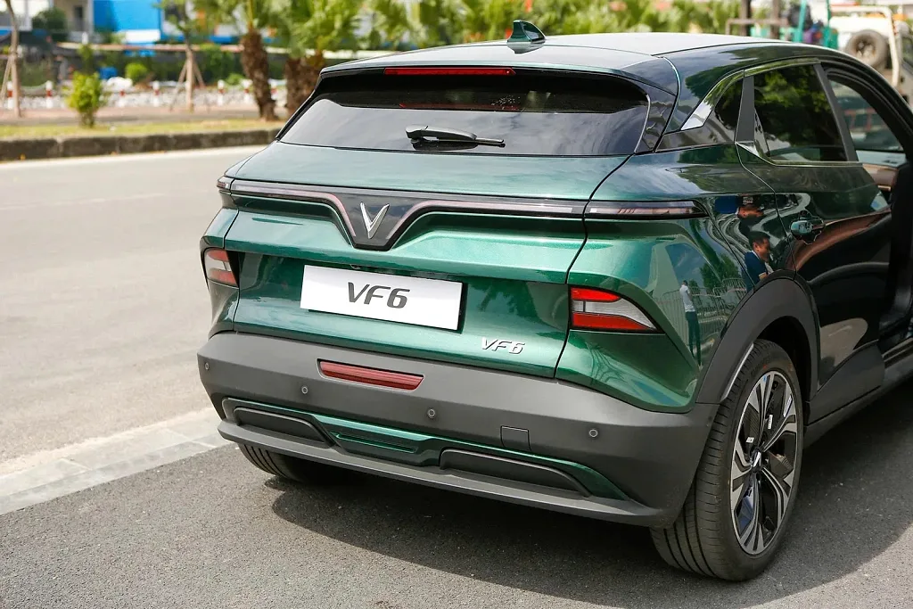 vf6.jpg