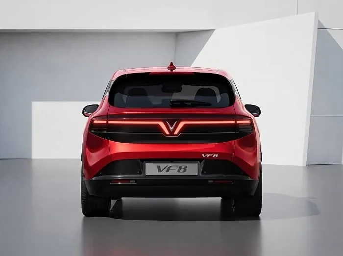 vf1.jpg