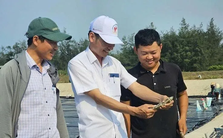 nông dân Quảng Trị nuôi cá kình