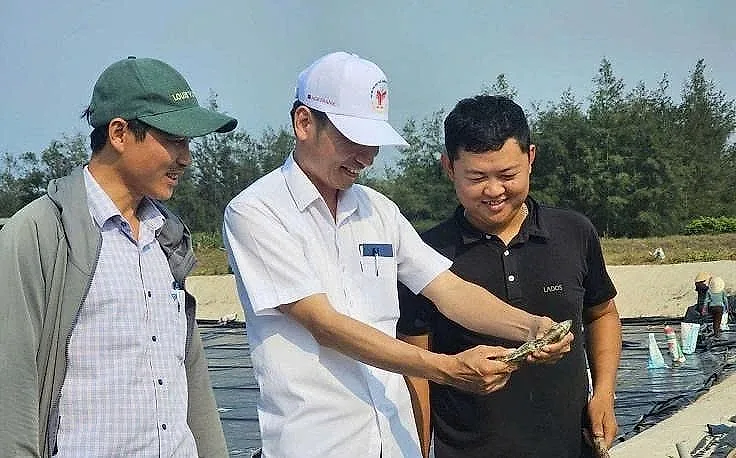 Nuôi giống cá "lạ lẫm" giúp người nông dân Quảng Trị lãi ròng hơn 700 triệu mỗi lần thu hoạch