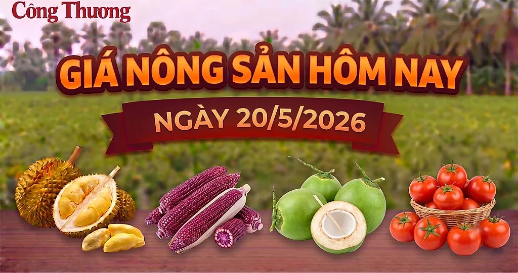 Giá nông sản hôm nay ngày 20/5: Một số mặt hàng có giá tốt