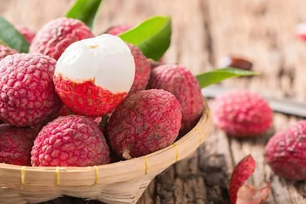 Một loại quả Việt Nam được Trung Quốc săn đón: Xuất khẩu tăng gần 40%