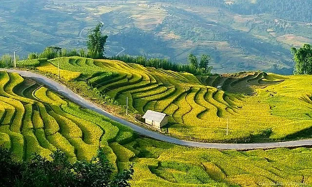 “Sa Pa của xứ Thanh” sở hữu rừng nguyên sinh rộng bậc nhất Việt Nam, có đỉnh núi cao 1.700m