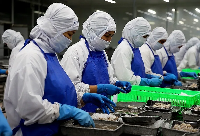 Chủ động cập nhật quy định ghi nhãn trong RCEP, tránh rủi ro xuất khẩu
