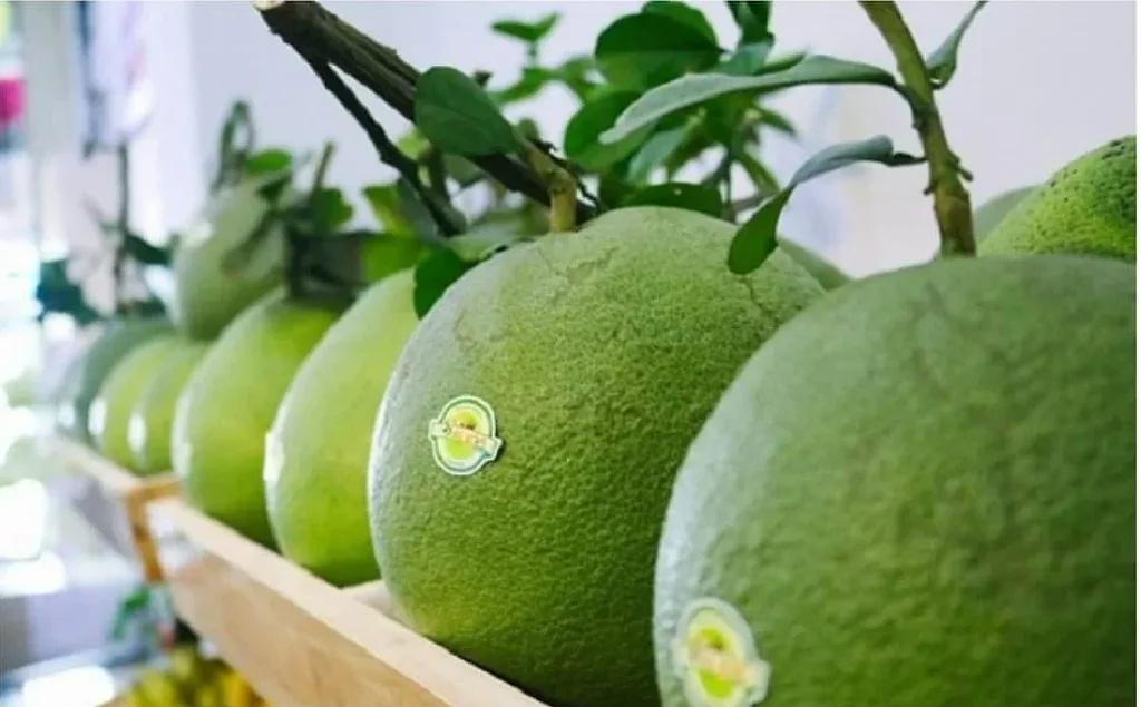 Xuất khẩu quả bưởi, chanh sang Trung Quốc: Cơ hội đi cùng áp lực