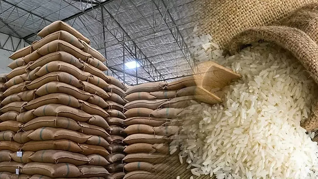 Gạo phát thải thấp trước ‘cuộc sàng lọc xanh’ của thị trường