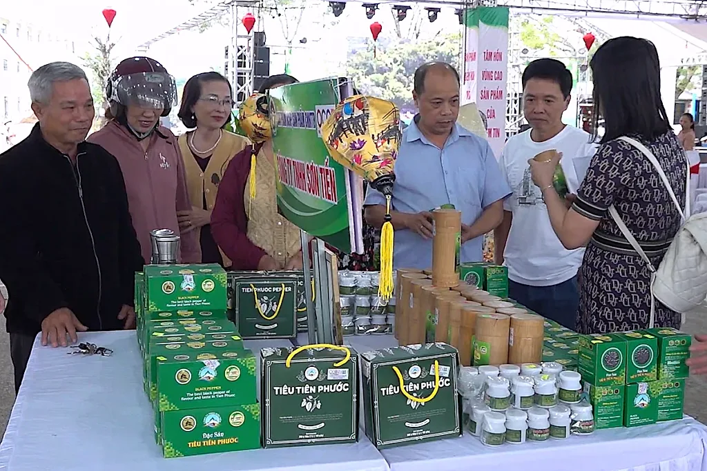 Cấp chứng nhận chỉ dẫn địa lý “Tiên Phước” đối với hạt tiêu Đà Nẵng