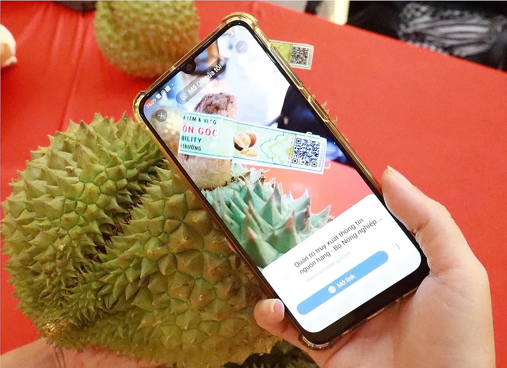 Truy xuất nguồn gốc, ‘hạ tầng mềm’ của xuất khẩu nông sản — Bộ Nông nghiệp và Môi trường