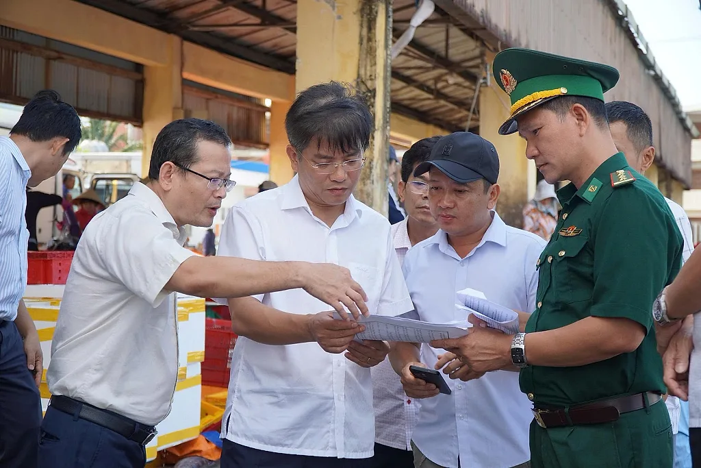 Quảng Ngãi: Siết chặt quản lý tàu cá nguy cơ cao vi phạm IUU