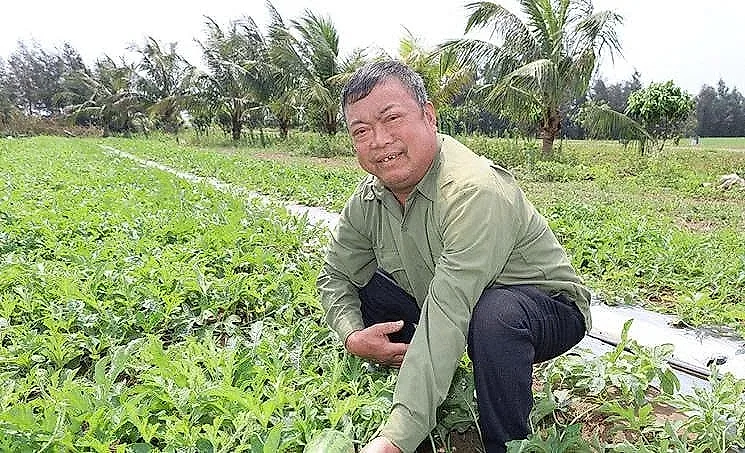 Nông dân Ninh Bình trồng dưa hấu