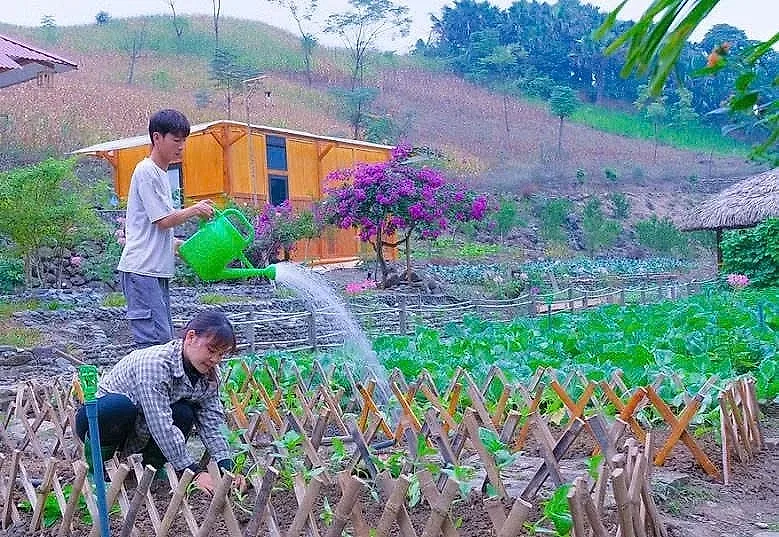 Hà Văn Sáng - Chàng trai bỏ phố về quê dựng “khu vườn cổ tích”, kiếm tiền từ nông nghiệp và YouTube