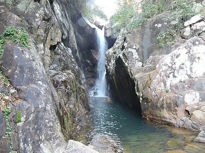suoi tien