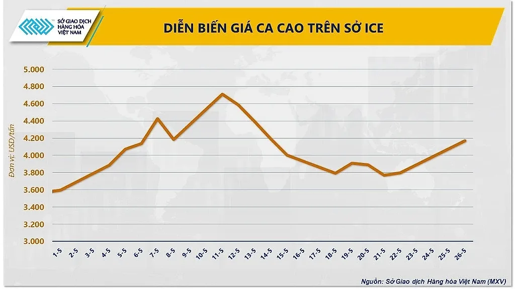 anh-3_-dien-bien-gia-ca-cao-tren-so-ice.jpg