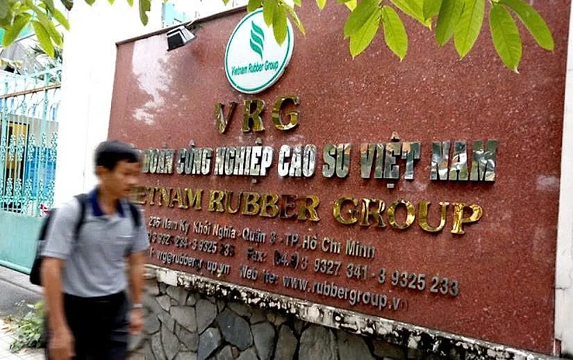Chưa đạt chuẩn yêu cầu về tỷ lệ sở hữu, tại sao GVR không bị hủy tư cách công ty đại chúng? — Tập đoàn Công nghiệp Cao su Việt Nam