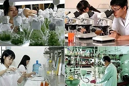 Hỗ trợ công nghệ phải thương mại hóa được sản phẩm