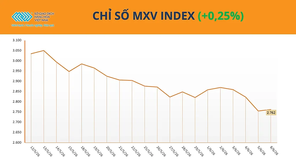 anh-1_-chi-so-mxv-index-9.6.png