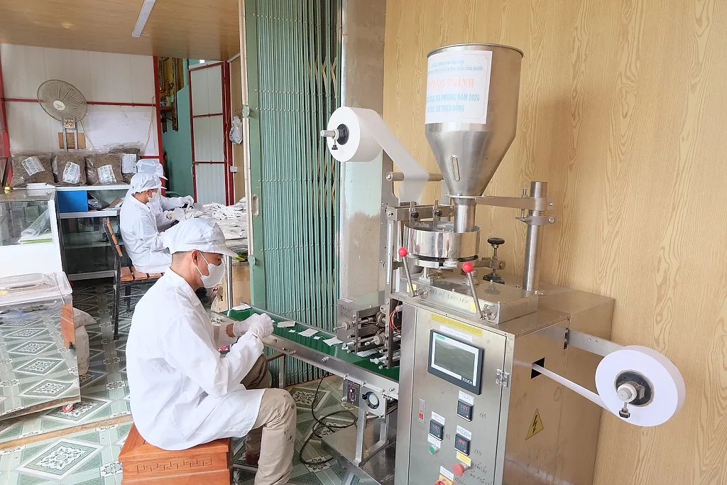 Khuyến công tạo đòn bẩy cho sản phẩm cà gai leo Điện Biên