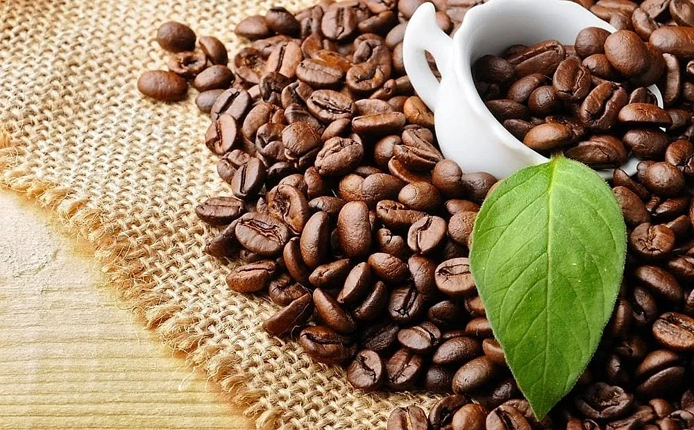 Giá cà phê hôm nay 11/6/2026: Lao dốc, tuột mốc 85.000 đồng/kg