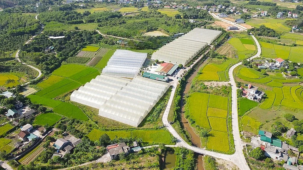 Xã mới 185 km2 ở Quảng Ninh tận dụng lợi thế cao tốc Hạ Long - Móng Cái để mở không gian phát triển, mục tiêu thành mô hình kiểu mẫu