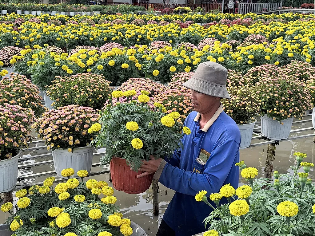 Đồng Tháp: Đặt mục tiêu có 1.352 sản phẩm OCOP vào năm 2030