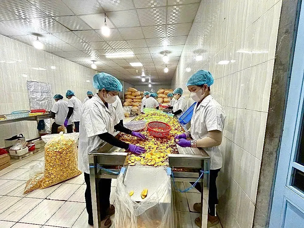 Đồng Tháp tăng tốc xuất khẩu nông, lâm, thủy sản đạt trên 3 tỷ USD