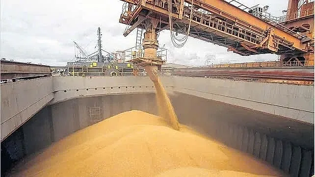 Quy định mới của Argentina, thương vụ Việt Nam khuyến nghị doanh nghiệp Việt