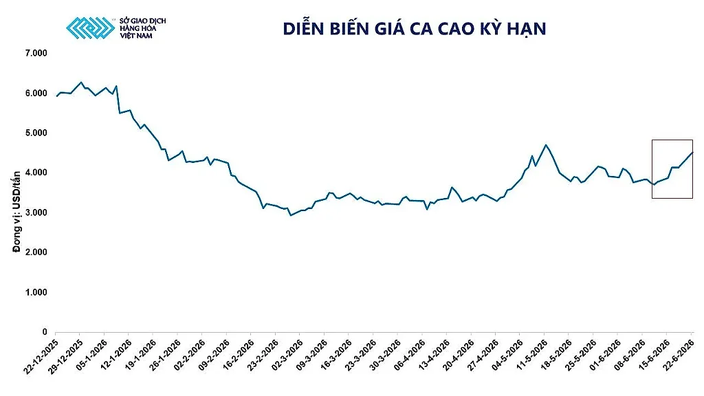 anh-2_-dien-bien-gia-ca-cao-ky-han.jpg