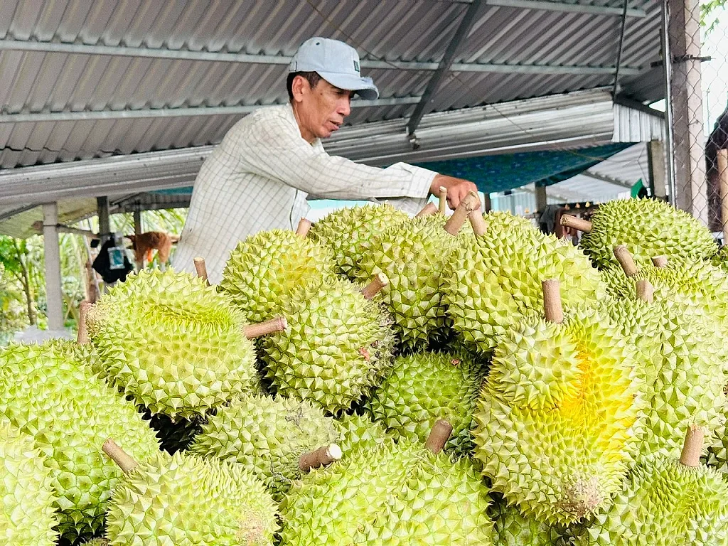 Xuất khẩu rau quả đạt 3,65 tỷ USD sau 6 tháng năm 2026