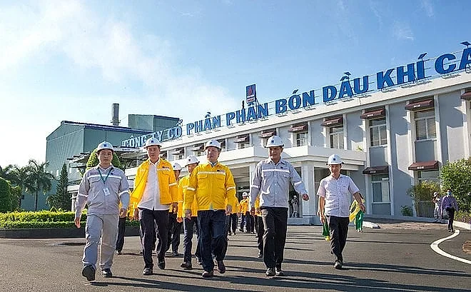 Đạm Cà Mau (DCM) sắp chi nghìn tỷ đồng trả cổ tức, cổ phiếu điều chỉnh mạnh kể từ tháng 3