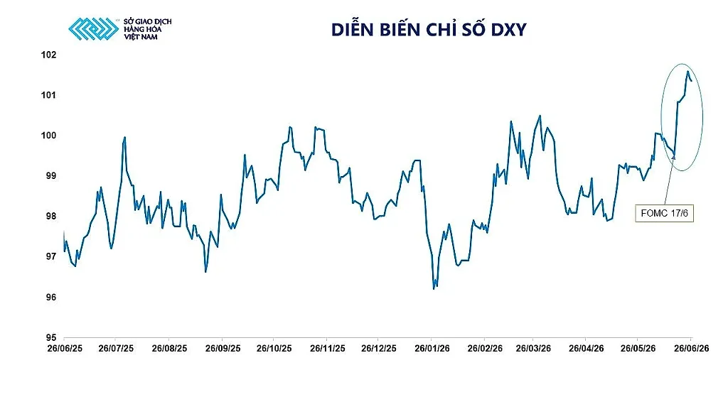 anh-5_-dien-bien-chi-so-dxy.jpg
