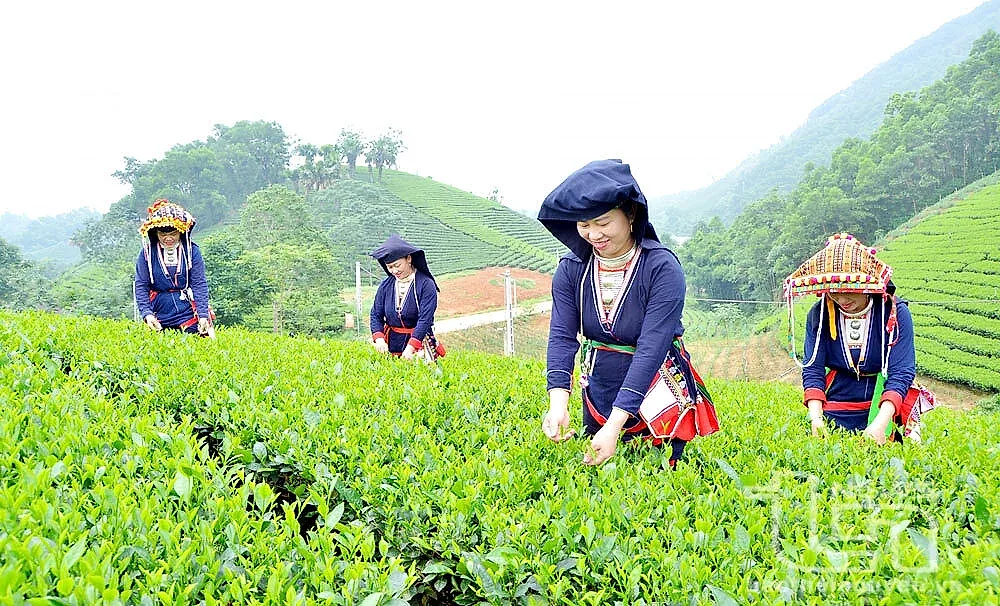 Chính phủ giao kế hoạch đầu tư công trung hạn vốn ngân sách trung ương giai đoạn 2026 - 2030