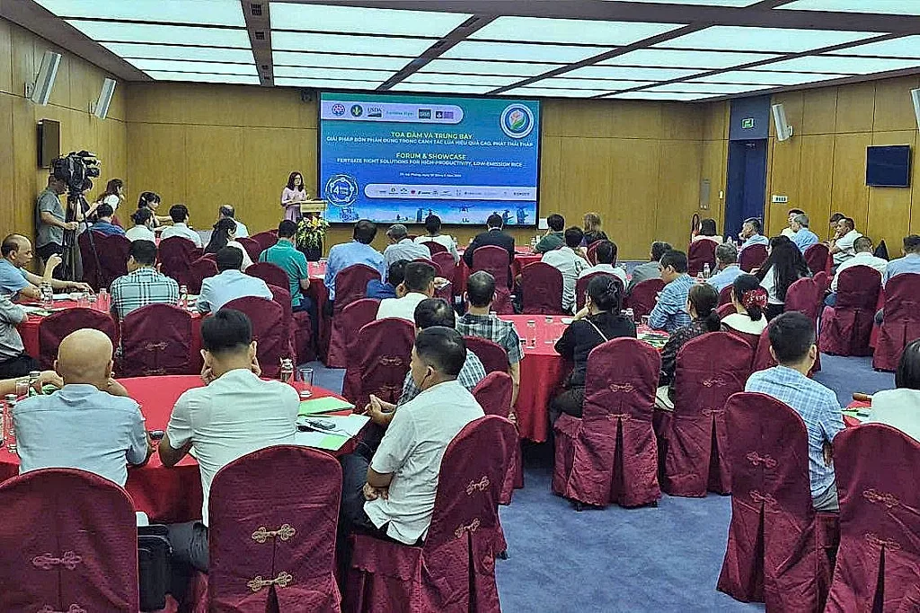 Hợp tác công - tư thúc đẩy canh tác lúa phát thải thấp