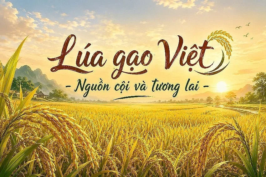 Hơn 1.300 tác phẩm tham gia cuộc vận động “Lúa gạo Việt – Nguồn cội và tương lai”