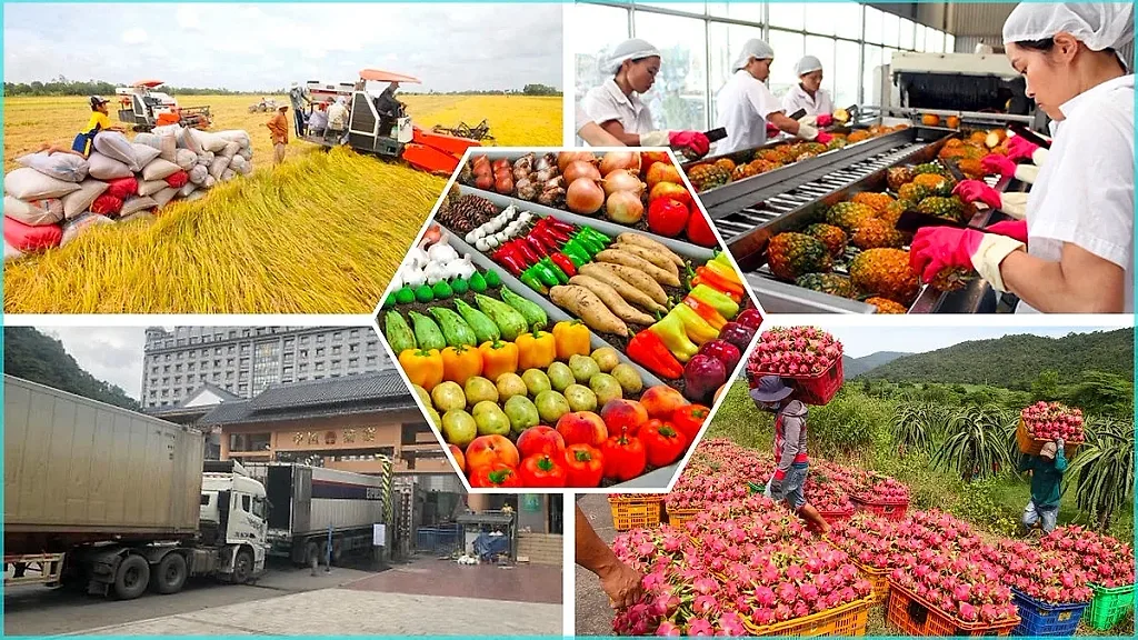 Phát huy sức mạnh 'ba chân kiềng' để ứng phó phòng vệ thương mại