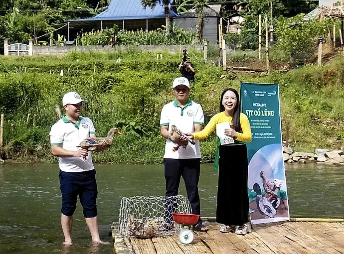 Thanh Hóa: Đưa đặc sản vịt Cổ Lũng lên sàn thương mại điện tử