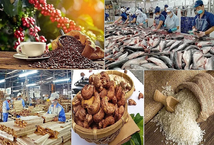 Xuất khẩu nông lâm thủy sản tiến sát 36 tỷ USD sau 6 tháng, nhiều ngành hàng bứt phá