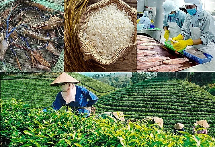xuatkhau1.jpg