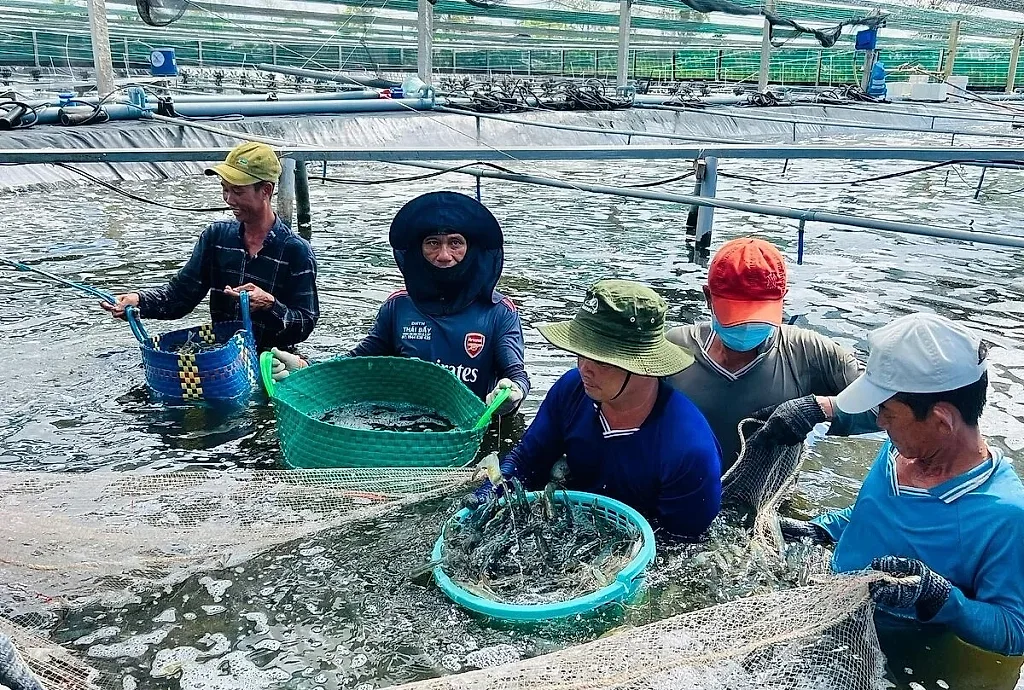 Công nghiệp, thương mại Cà Mau khởi sắc trong nửa đầu năm 2026