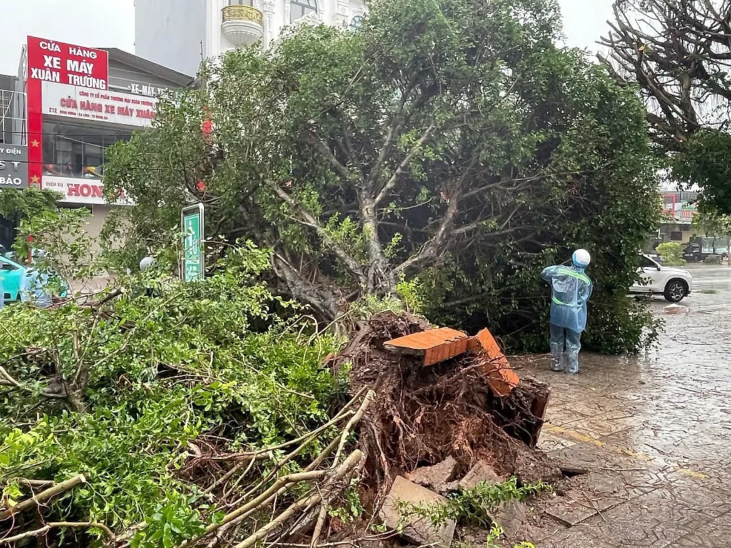 Quảng Ninh: Gió mạnh cấp 11 tại Móng Cái gây tốc mái nhà, gãy đổ cây