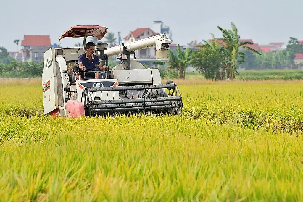 Xuất khẩu gạo nửa đầu năm 2026: Giữ nhịp tăng trưởng