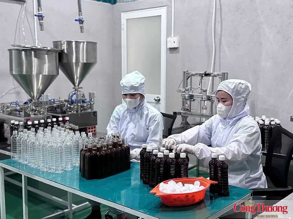 Quảng Ngãi: Từ lò mật mía quê đến hành trình xuất khẩu