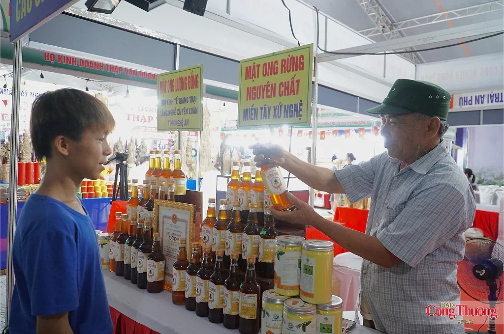 Người cựu binh 75 tuổi và hành trình 'đánh thức' mật ngọt Pù Mát