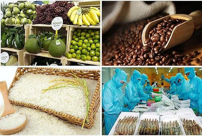 Tăng cường giám sát cộng đồng về an toàn thực phẩm nông lâm thủy sản