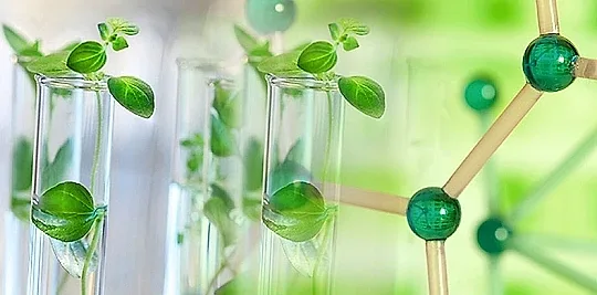Lần đầu tiên xử phạt vi phạm nguyên tắc 'hóa học xanh'