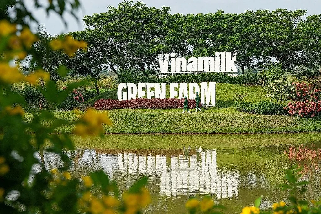 Vinamilk mang về nguồn thu lớn cho SCIC, giá trị đầu tư tăng 71 lần sau cổ phần hóa